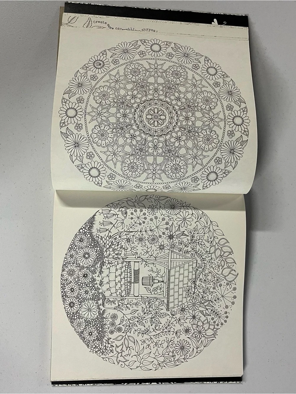 Secret Garden Adult Coloring Book - Cream with Gold Accents